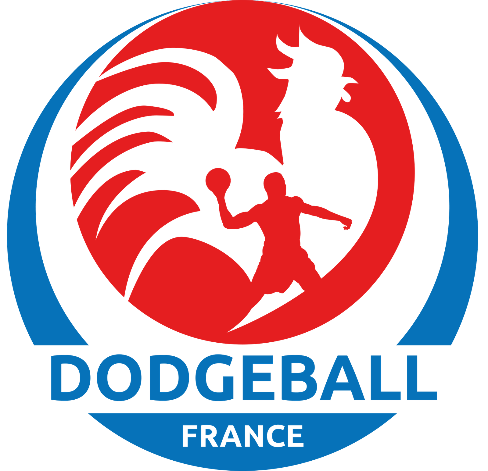 Logo Fédération Dodgeball français